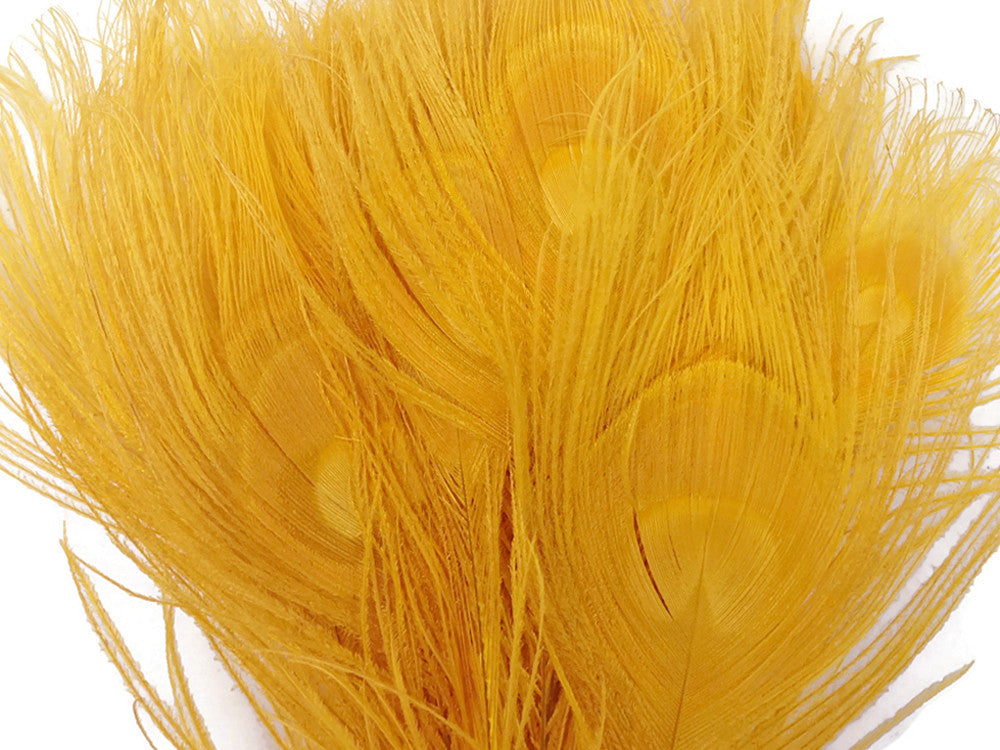 50 Pieces – Golden Yellow Bleached & Dyed Peacock Tail Eye Wholesale Feathers (Bulk) 10-12” Long 