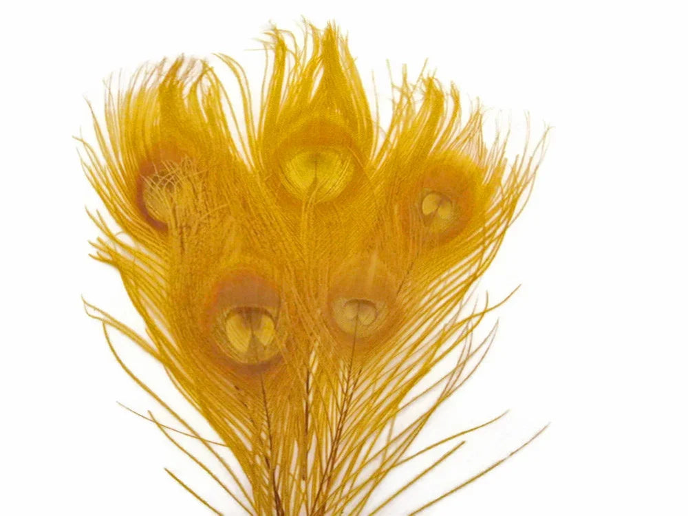 Golden dyed peacock feathers with eye patterns for crafts and fashion decor.