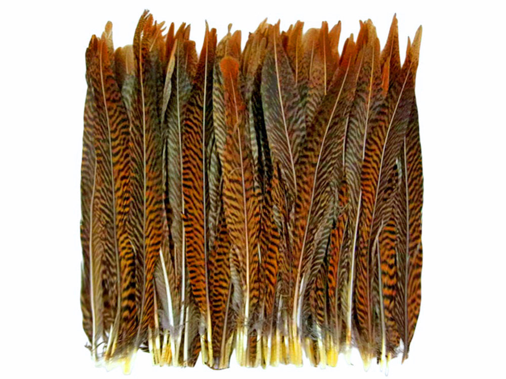 10 Pieces - 8-10" Natural Golden Pheasant Tail Feathers