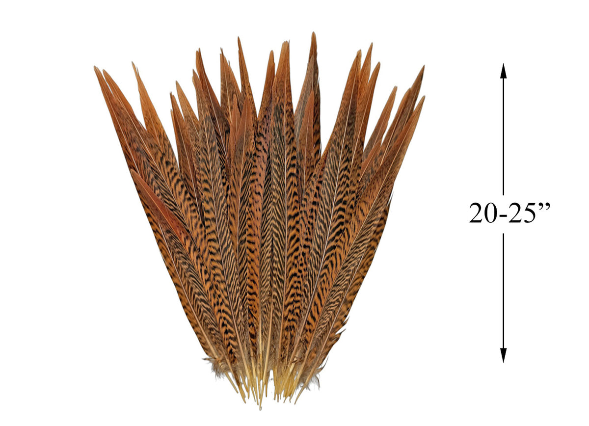 50 Pieces - 20-25" Natural Brown Golden Extra Long Pheasant Tail Wholesale Feathers (Bulk)
