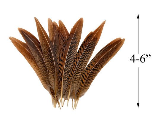 10 Pieces - 4-6" Natural Golden Pheasant Tail Feathers