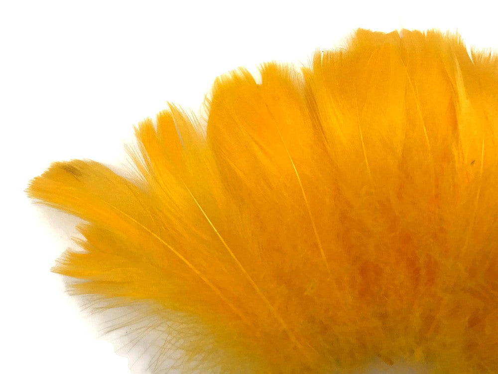 1 Pack - 2-3" Golden Yellow Goose Coquille Loose Feathers - 0.35 Oz.