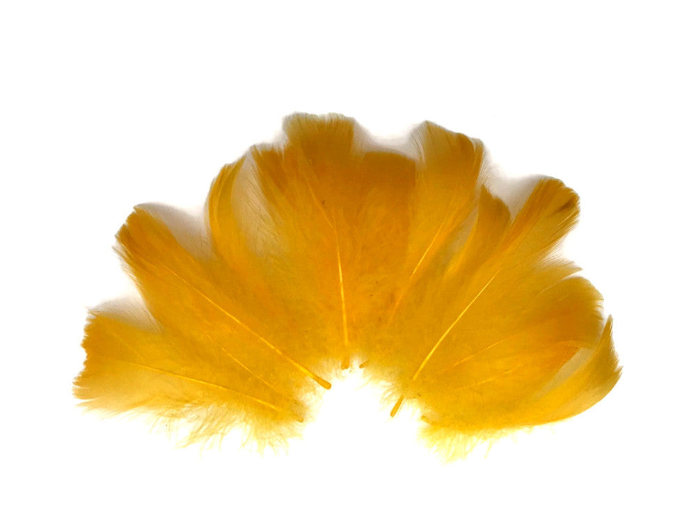 1 Pack - 2-3" Golden Yellow Goose Coquille Loose Feathers - 0.35 Oz.