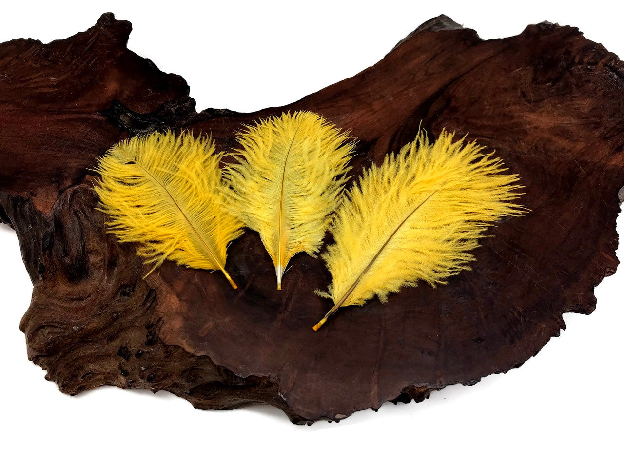 1 Pack - Golden Yellow Ostrich Small Confetti Feathers 0.3 Oz