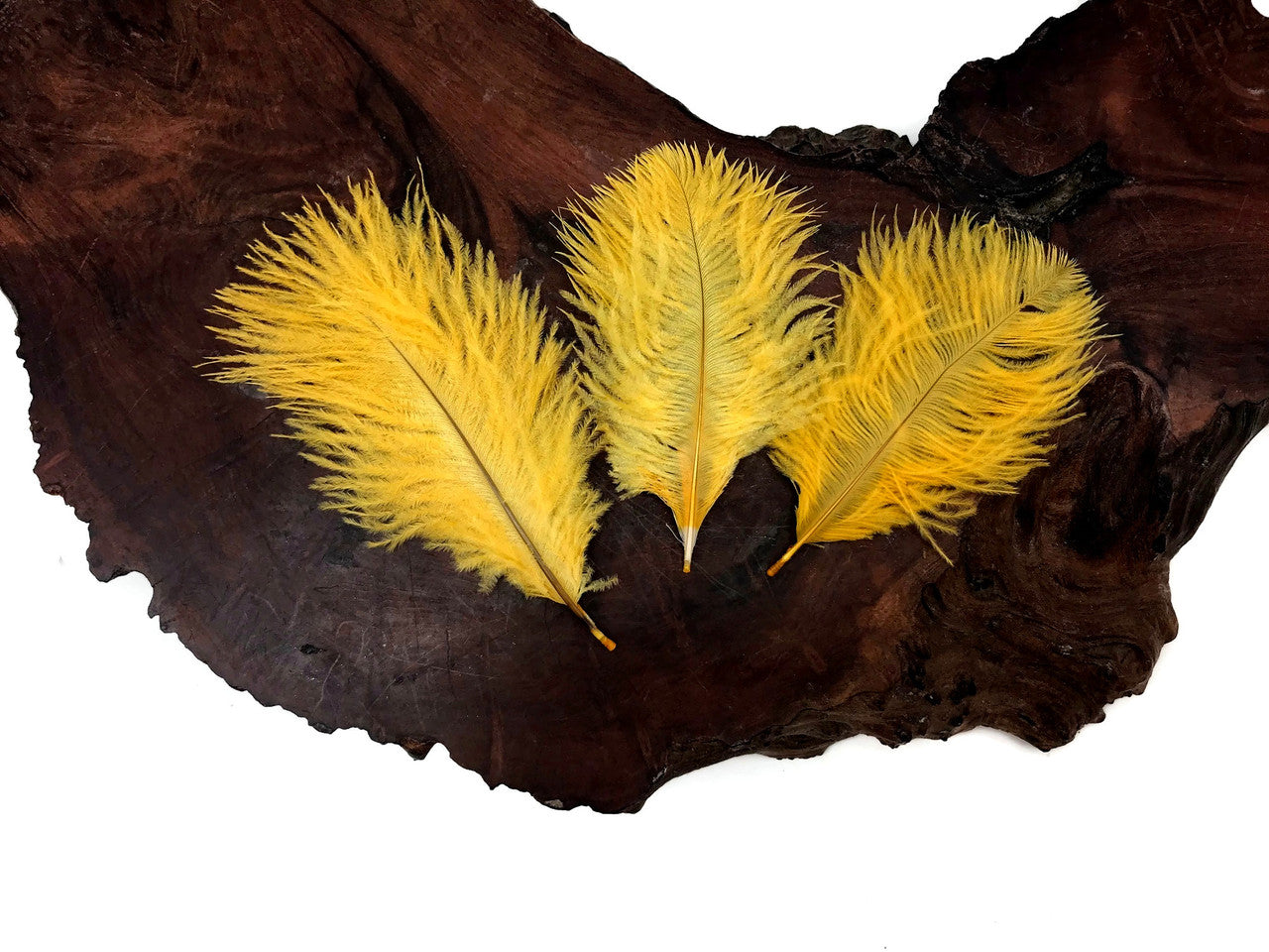 Wholesale Pack - Golden Yellow Ostrich Small Confetti Feathers (Bulk)