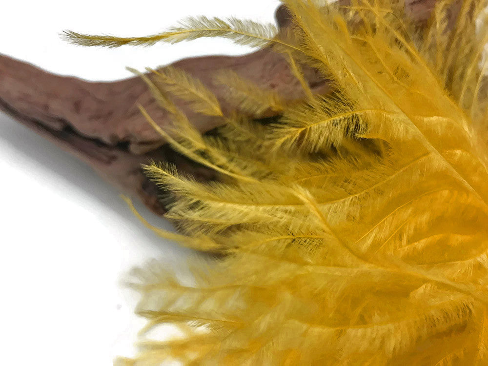 10 Yards - Golden Yellow Ostrich Fringe Trim Wholesale Feather (Bulk)