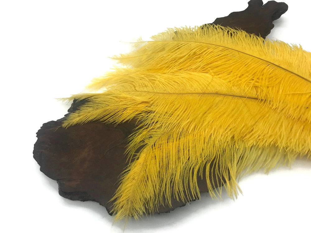 20 Pieces - Gold Mini Spads Ostrich Chick Body Feathers