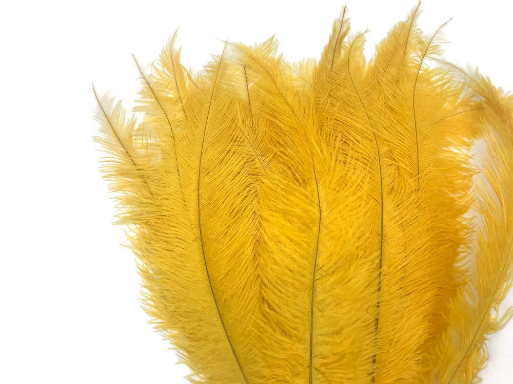 20 Pieces - Gold Mini Spads Ostrich Chick Body Feathers