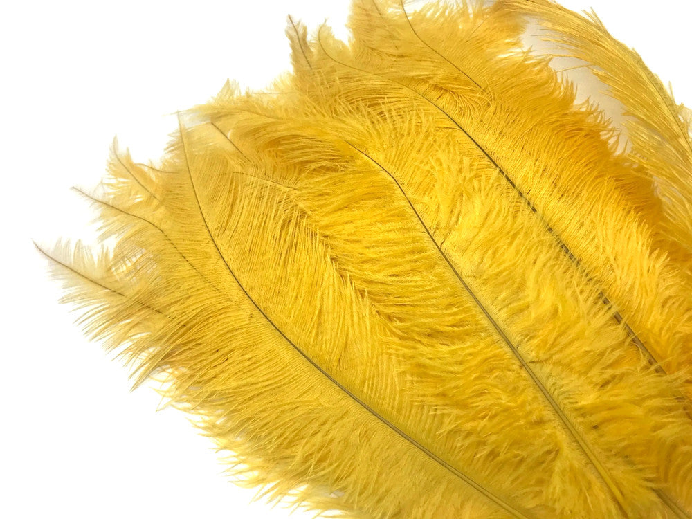 1/2 Lb - Golden Yellow Mini Spads Ostrich Wholesale Chick Body Feathers (Bulk)