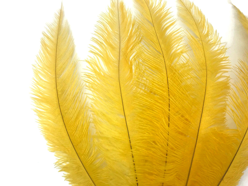 1/2 Lb - Golden Yellow Mini Spads Ostrich Wholesale Chick Body Feathers (Bulk)