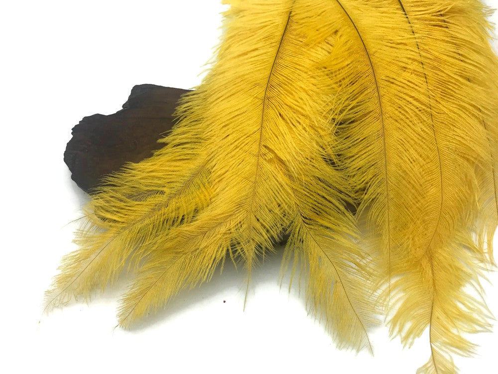 20 Pieces - Gold Mini Spads Ostrich Chick Body Feathers