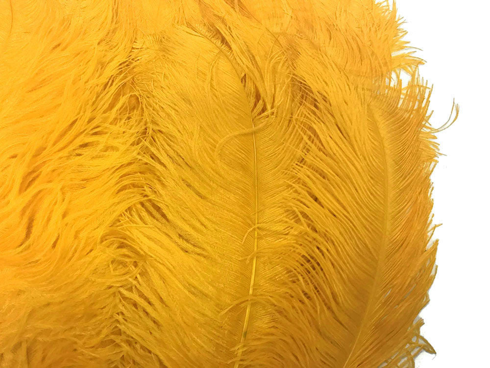 1/2 Lb. - 18-24" Golden Yellow Large Ostrich Wing Plume Wholesale Feathers (Bulk)