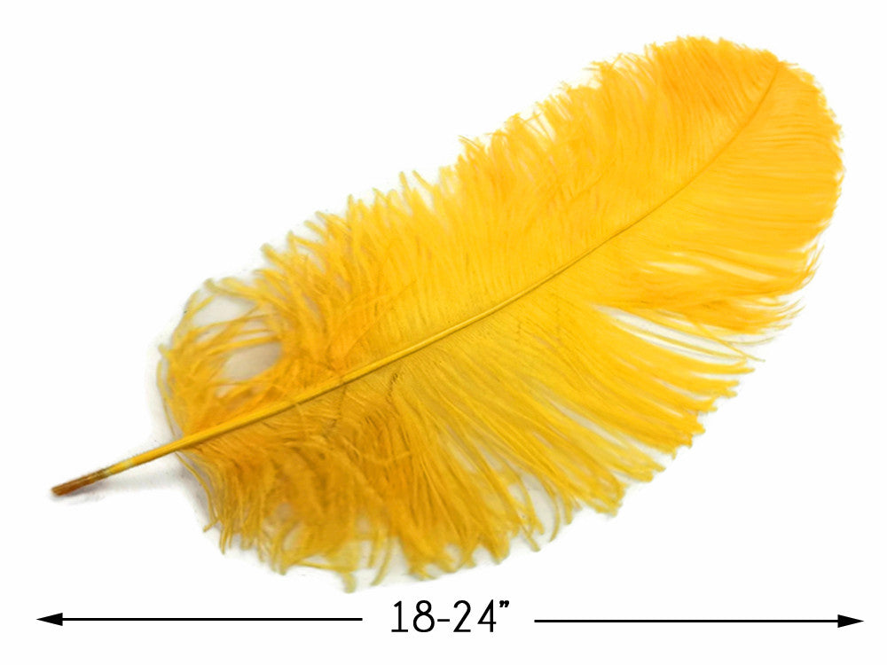 1/2 Lb. - 18-24" Golden Yellow Large Ostrich Wing Plume Wholesale Feathers (Bulk)