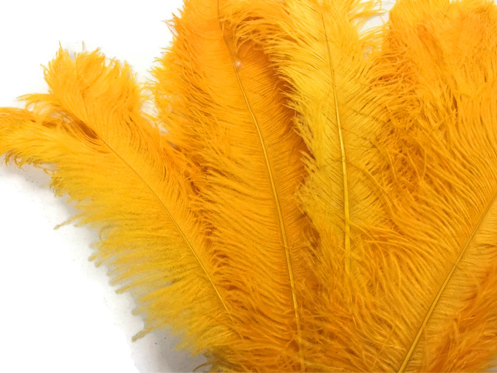 10 Pieces - 18-24" Golden Yellow Large Prime Grade Ostrich Wing Plume Centerpiece Feathers