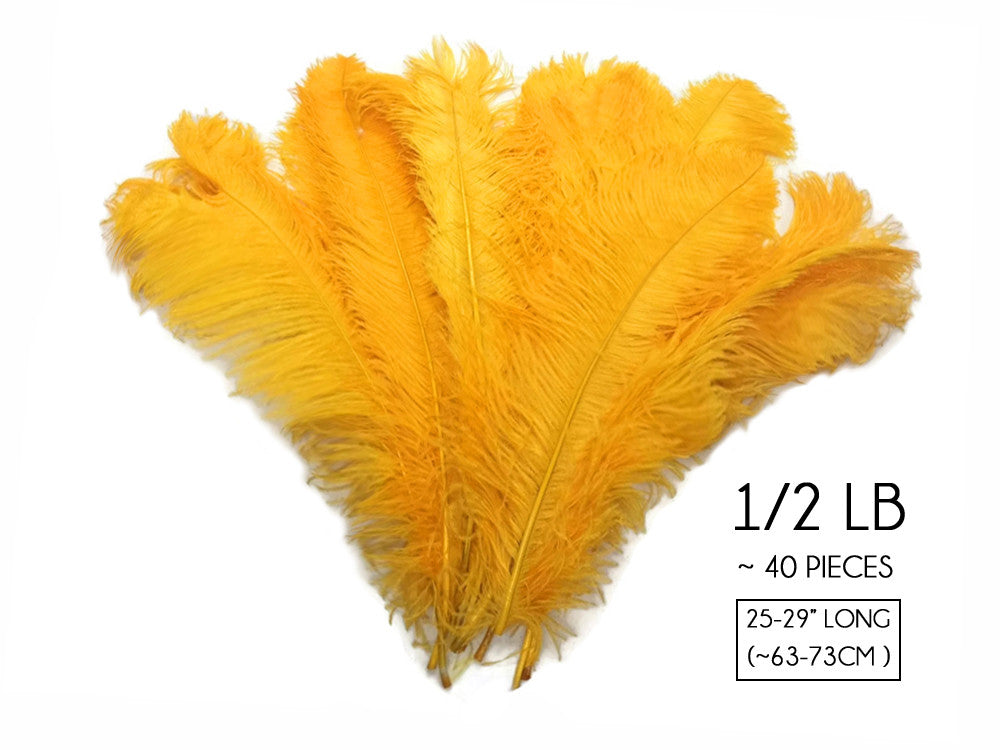 1/2 Lb. - 25-29" Golden Yellow Large Ostrich Wing Plume Wholesale Feathers (Bulk) 