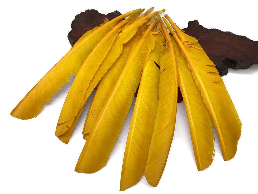 1/4 Lb - Gold Turkey Pointers Quill Large Wholesale Feathers (Bulk)