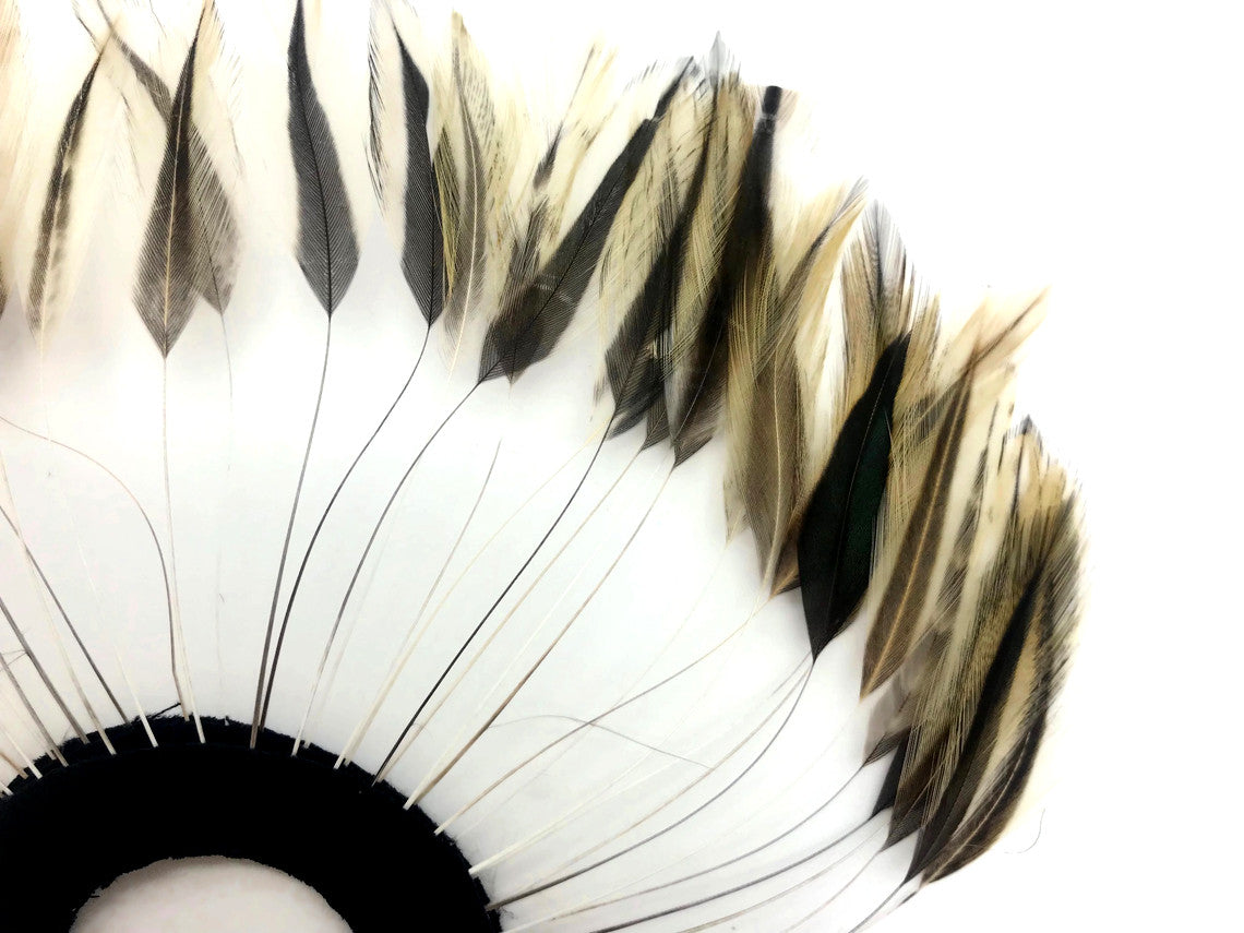 1 Piece - Golden Badger Half Beaded Pinwheel Stripped Rooster Hackle Feather Pads