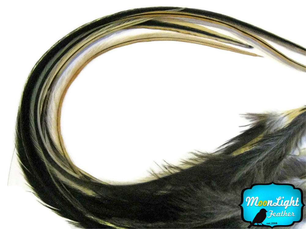 6 Pieces - Golden Badger Thick Long Rooster Hair Extension Feathers