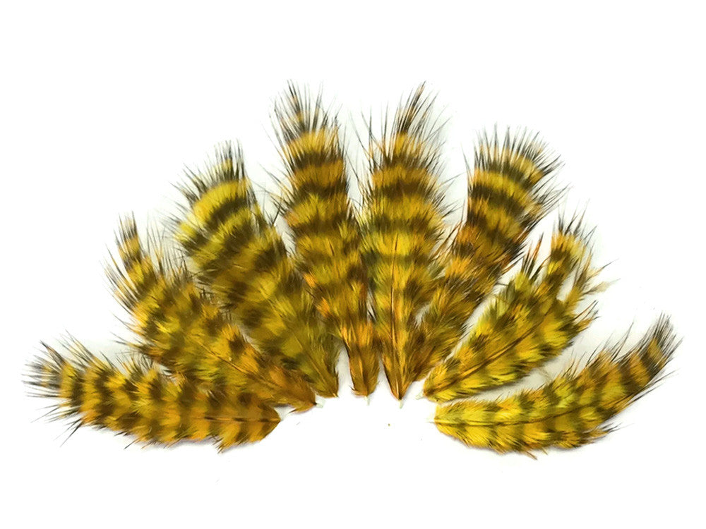 1 Dozen - Golden Olive Grizzly Mini Rooster Chickabou Fluff Whiting Hair Feathers