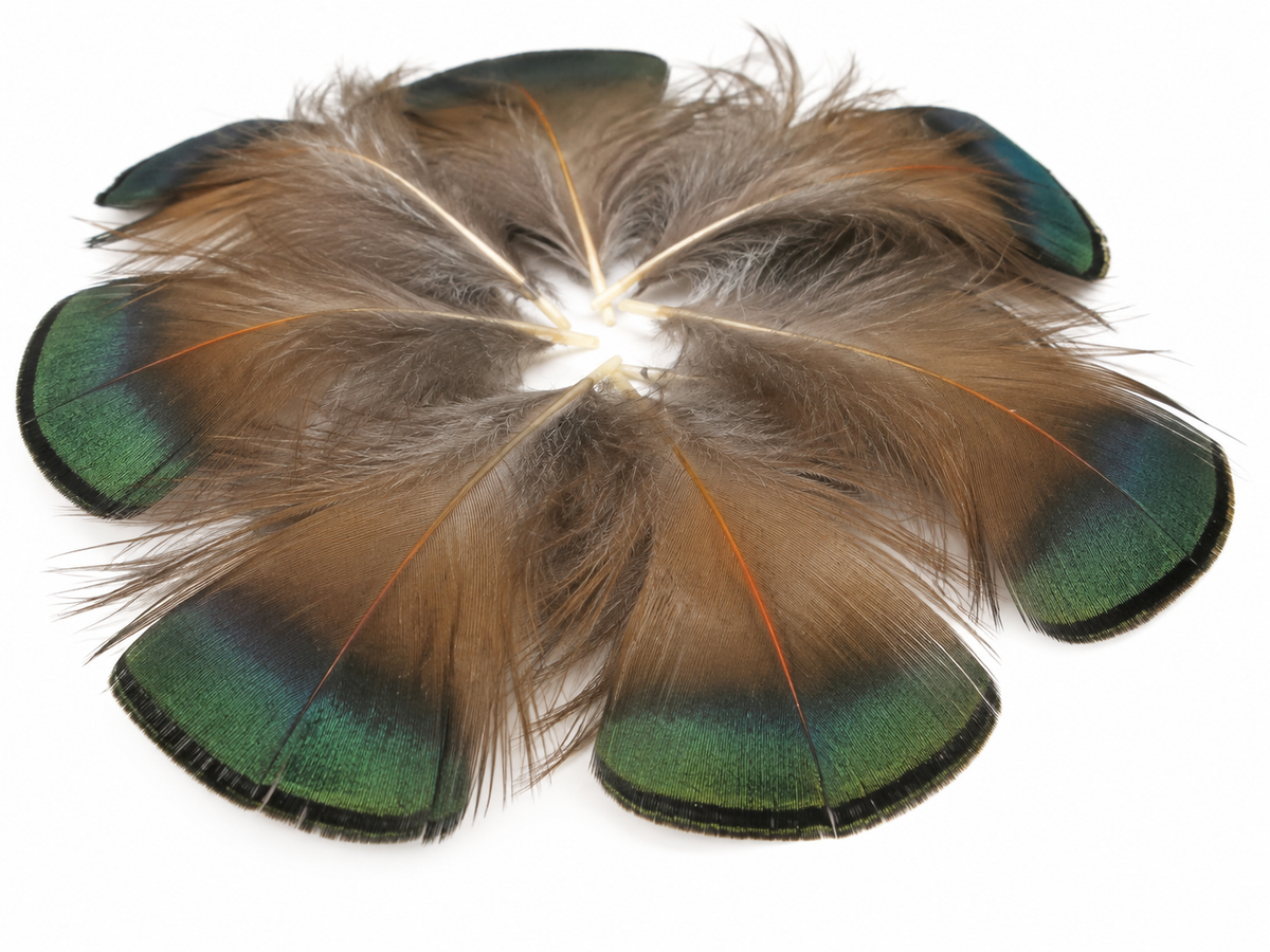 1 Yard - Iridescent Green Bronze Golden Pheasant Neck Tippet Feather Trim