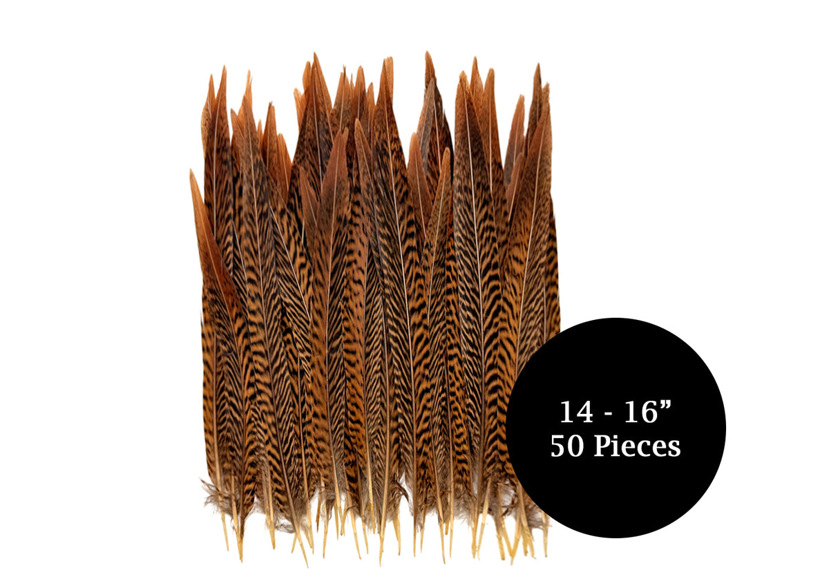 50 Pieces - 14-16" Natural Brown Golden Pheasant Tail Wholesale Feathers (Bulk)