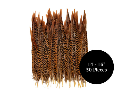 50 Pieces - 14-16" Natural Brown Golden Pheasant Tail Wholesale Feathers (Bulk)