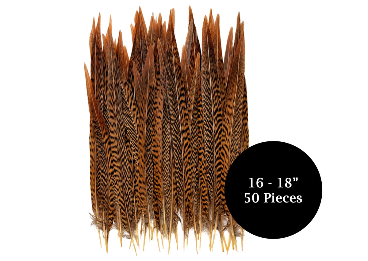 50 Pieces - 16-18" Natural Brown Golden Pheasant Tail Wholesale Feathers (Bulk)