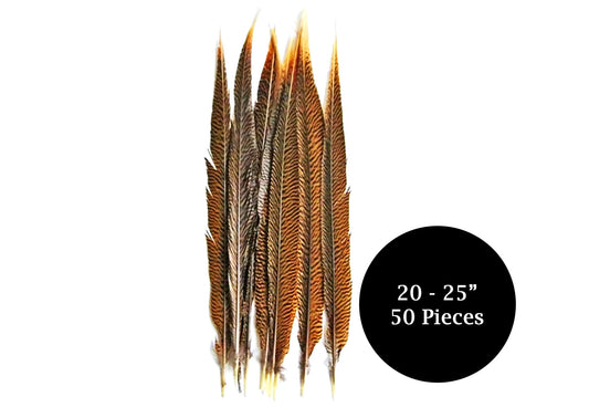 50 Pieces - 20-25" Natural Brown Golden Extra Long Pheasant Tail Wholesale Feathers (Bulk)