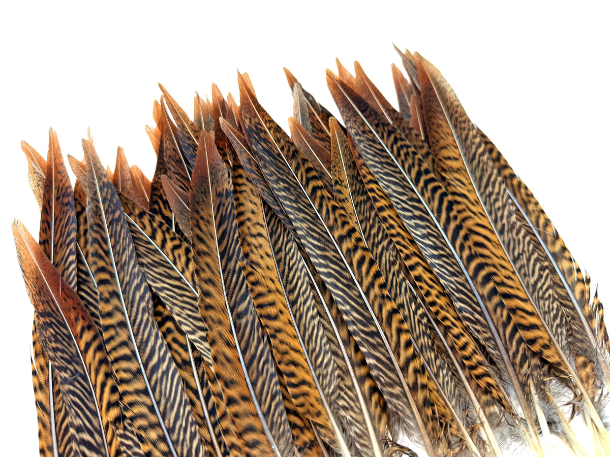 10 Pieces - 18-20" Natural Brown Super Long Golden Pheasant Tail Feathers