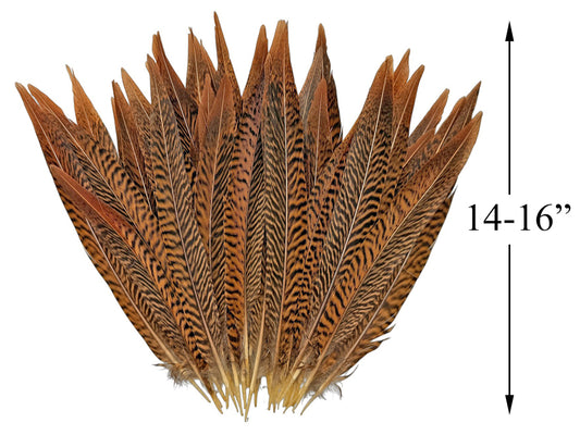 10 Pieces - 14-16" Natural Brown Golden Pheasant Tail Feathers