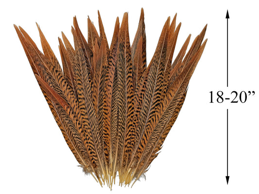 10 Pieces - 18-20" Natural Brown Super Long Golden Pheasant Tail Feathers