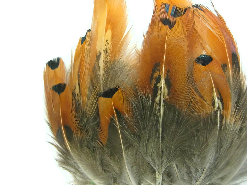 1/8 lbs. - Natural Gold Ringneck Pheasant Plumage Wholesale Feathers (Bulk)
