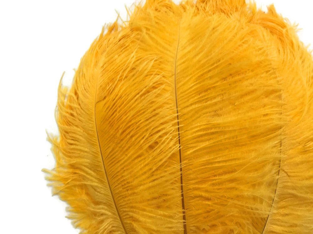 10 Pieces - 17-19" Golden Yellow Large Bleached & Dyed Ostrich Drabs Body Feathers