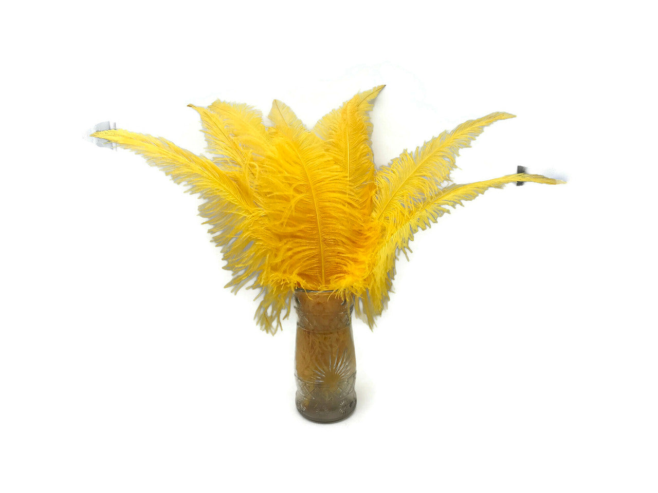 10 Pieces - 20-28" Golden Yellow Ostrich Spads Large Wing Feathers