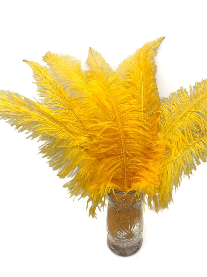 1/2 Lb - Golden Yellow Large Ostrich Spads Wholesale Feathers 20-28" (Bulk)