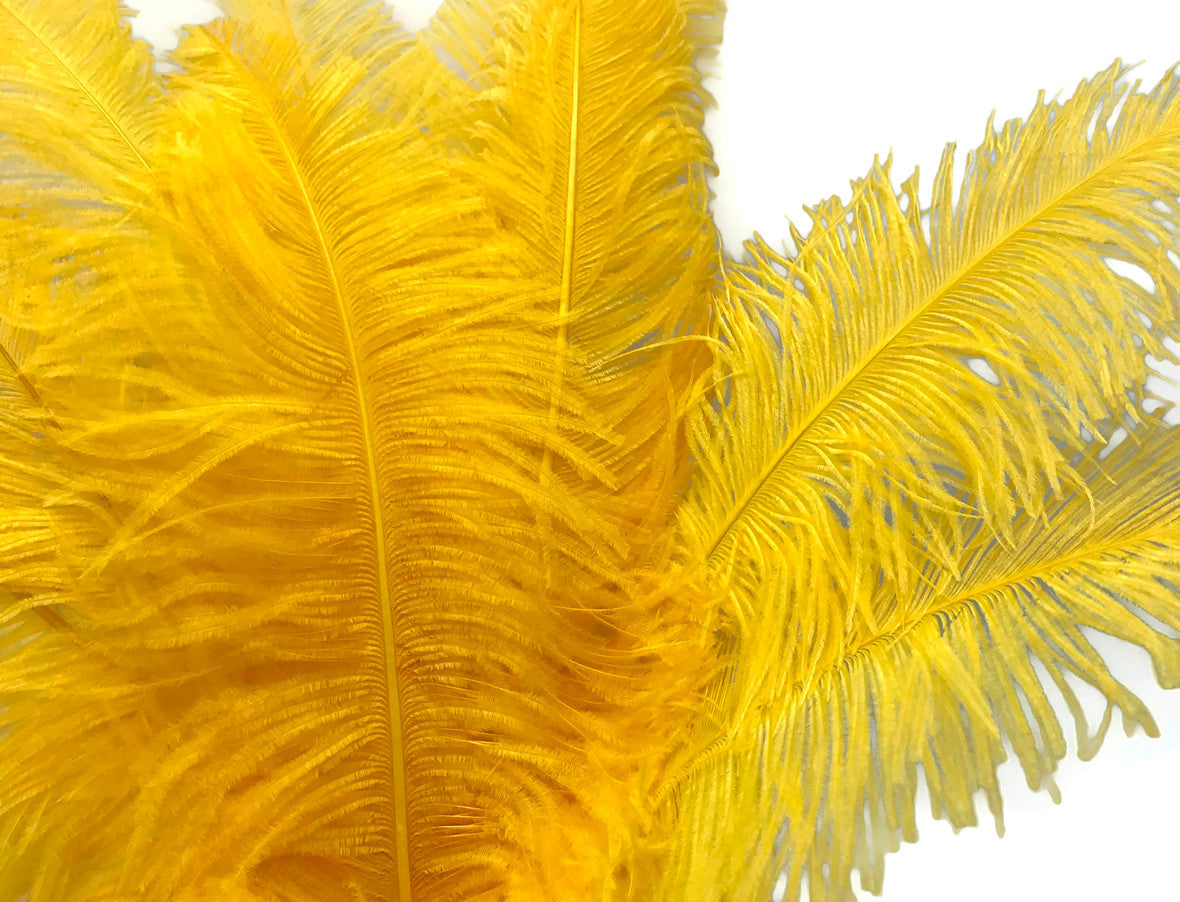 1/2 Lb - Golden Yellow Large Ostrich Spads Wholesale Feathers 20-28" (Bulk)