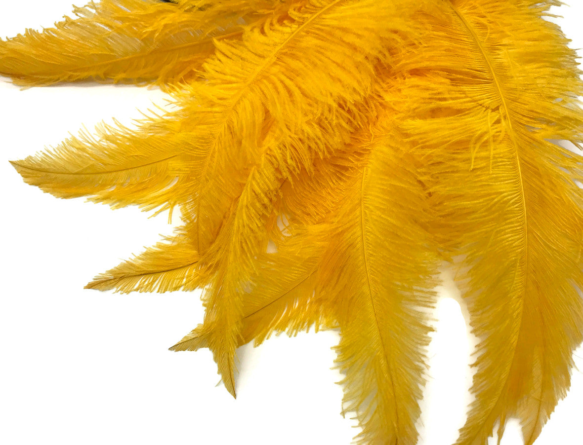 1/2 Lb - Golden Yellow Large Ostrich Spads Wholesale Feathers 20-28" (Bulk)