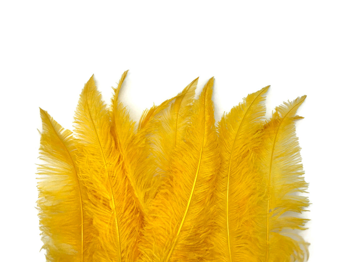 10 Pieces - 20-28" Golden Yellow Ostrich Spads Large Wing Feathers