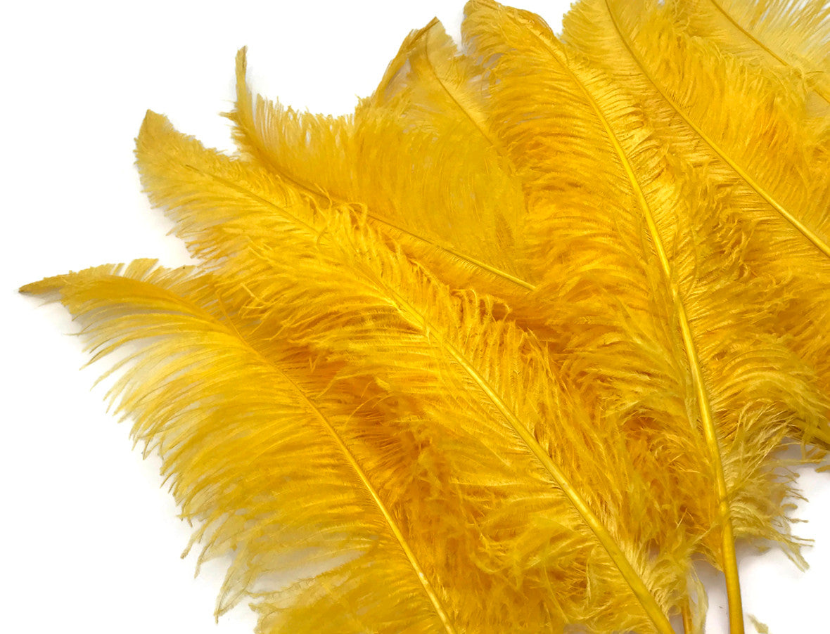 1/2 Lb - Golden Yellow Large Ostrich Spads Wholesale Feathers 20-28" (Bulk)