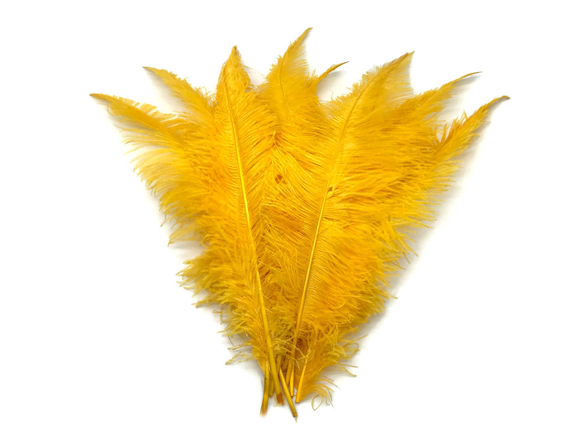 10 Pieces - 20-28" Golden Yellow Ostrich Spads Large Wing Feathers