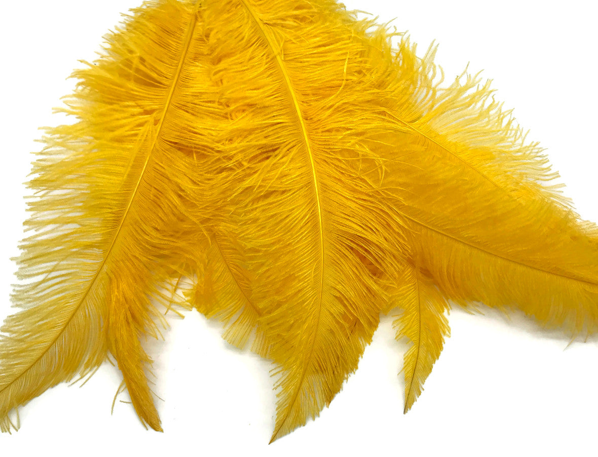 1/2 Lb - Golden Yellow Large Ostrich Spads Wholesale Feathers 20-28" (Bulk)