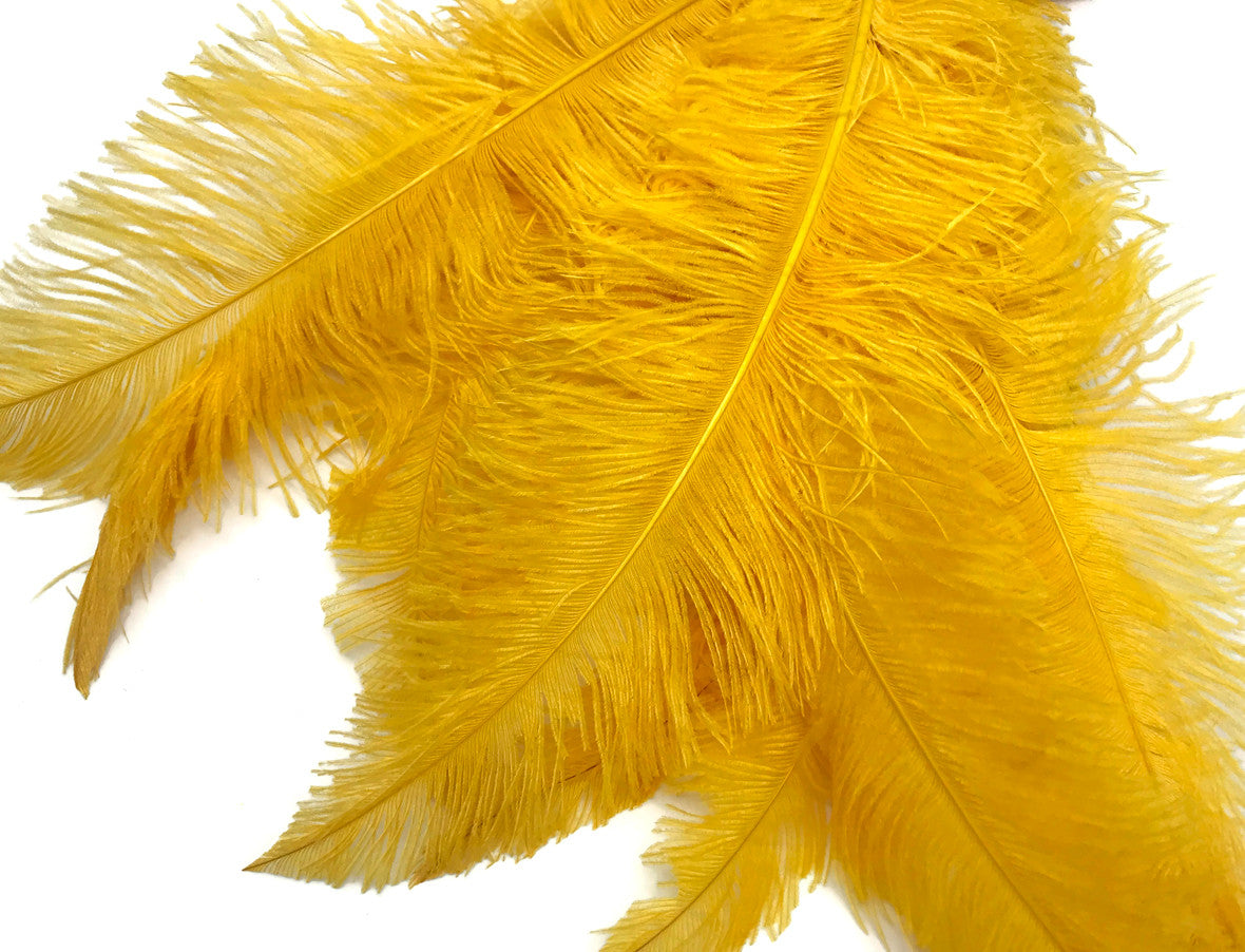 1/2 Lb - Golden Yellow Large Ostrich Spads Wholesale Feathers 20-28" (Bulk)