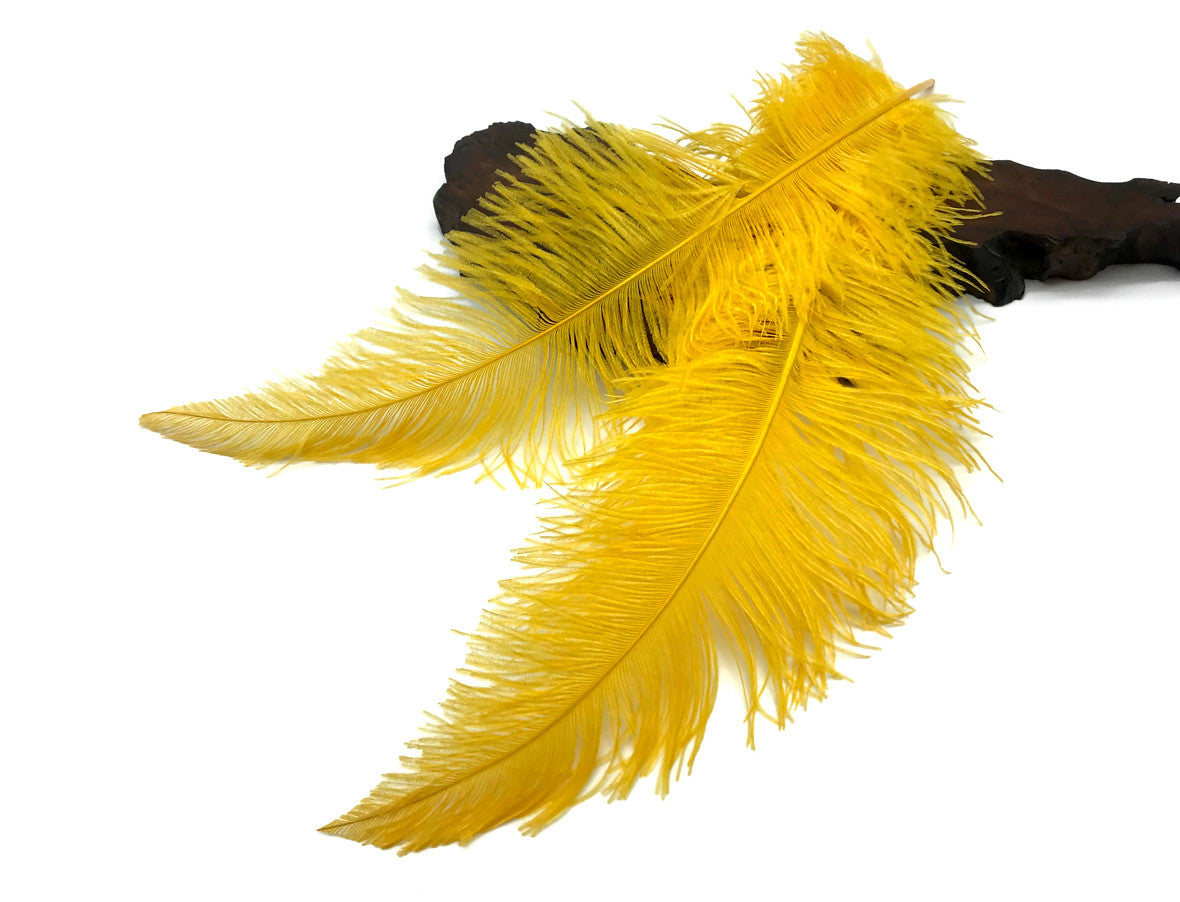 10 Pieces - 20-28" Golden Yellow Ostrich Spads Large Wing Feathers