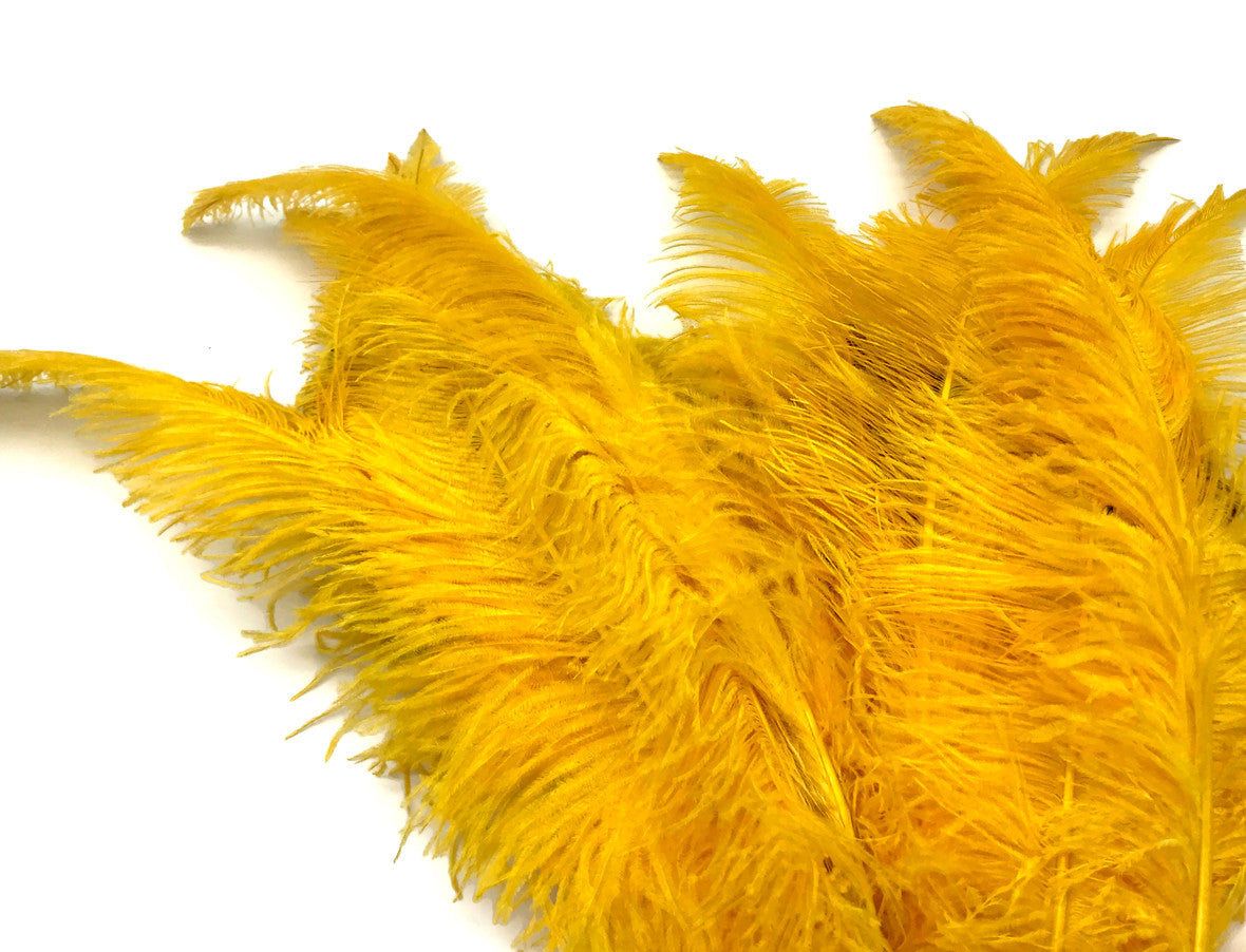 1/2 Lb - Golden Yellow Large Ostrich Spads Wholesale Feathers 20-28" (Bulk)