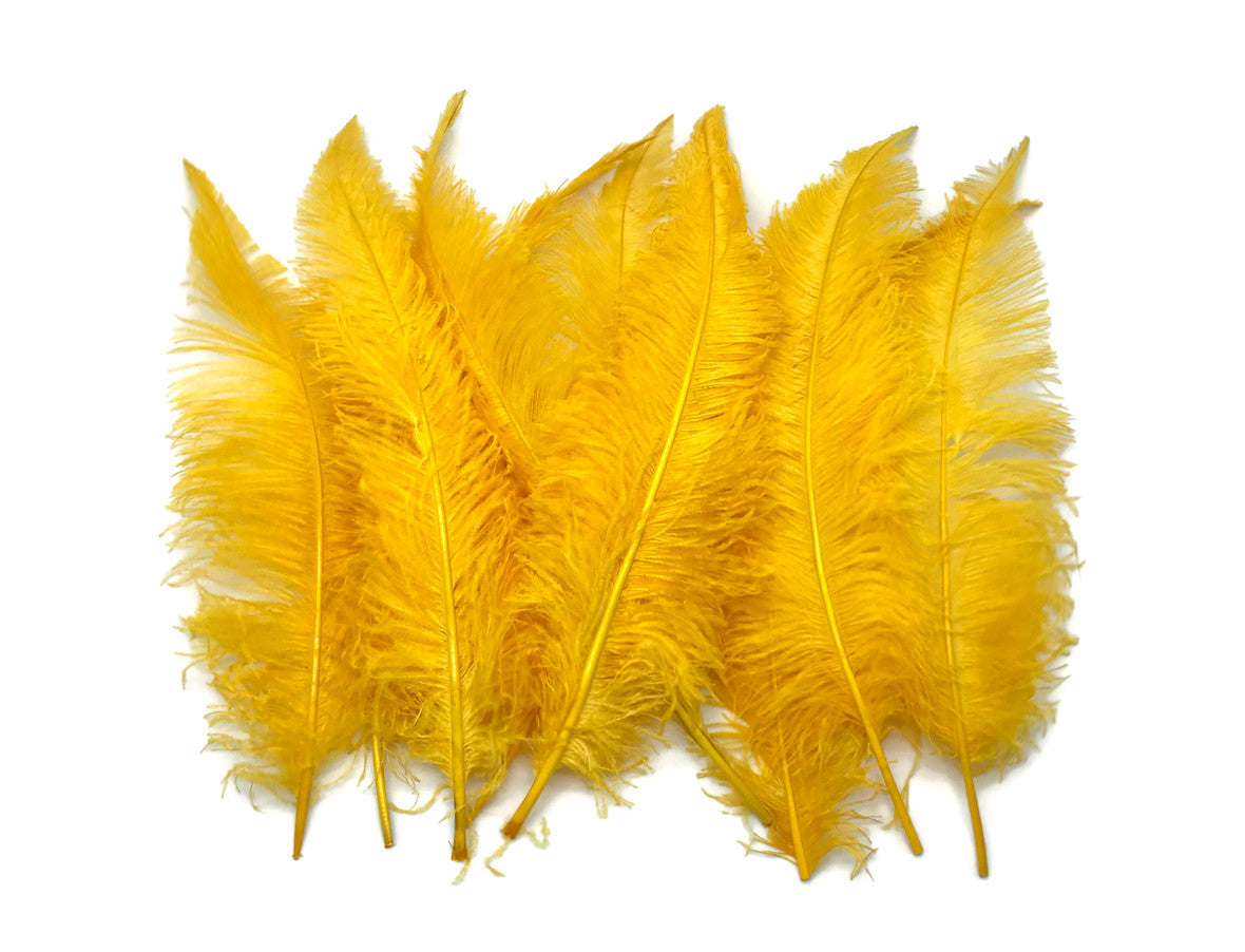 10 Pieces - 20-28" Golden Yellow Ostrich Spads Large Wing Feathers