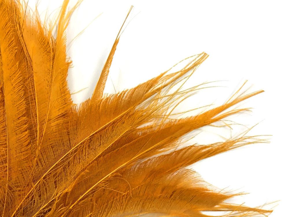 50 Pieces - Golden Yellow Bleached & Dyed Peacock Swords Cut Wholesale Feathers (Bulk)