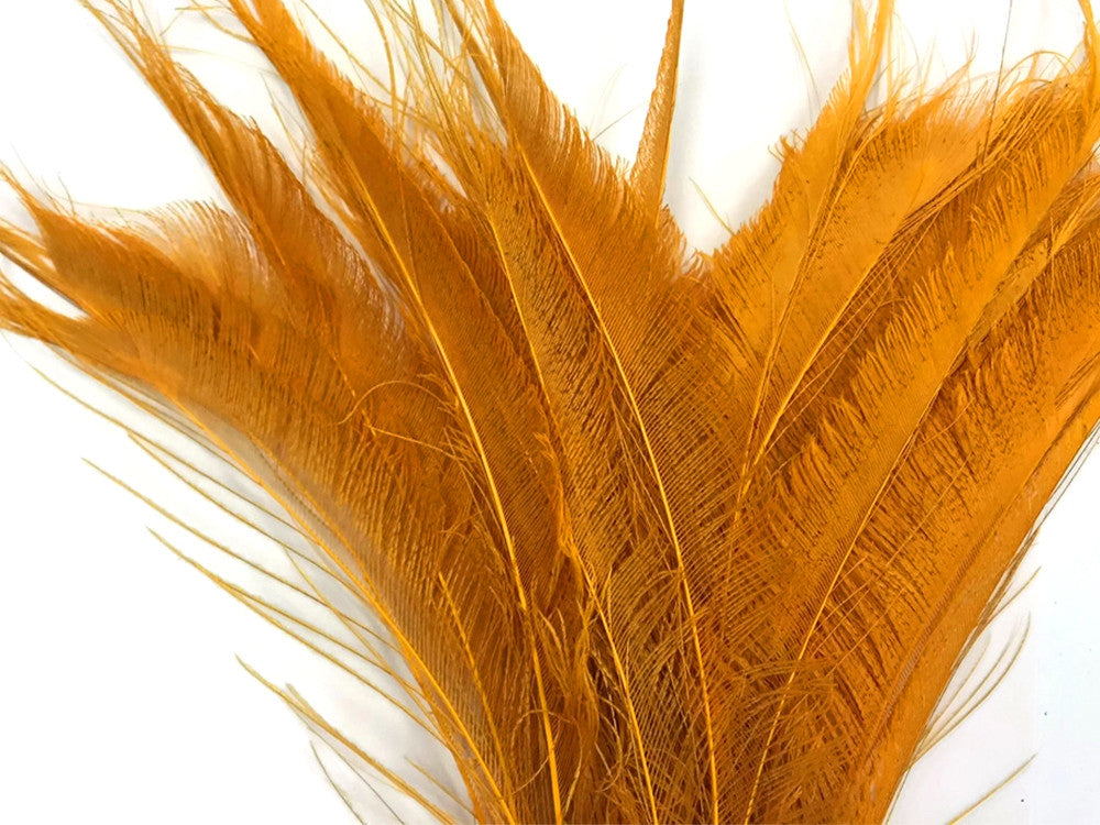 50 Pieces - Golden Yellow Bleached & Dyed Peacock Swords Cut Wholesale Feathers (Bulk)