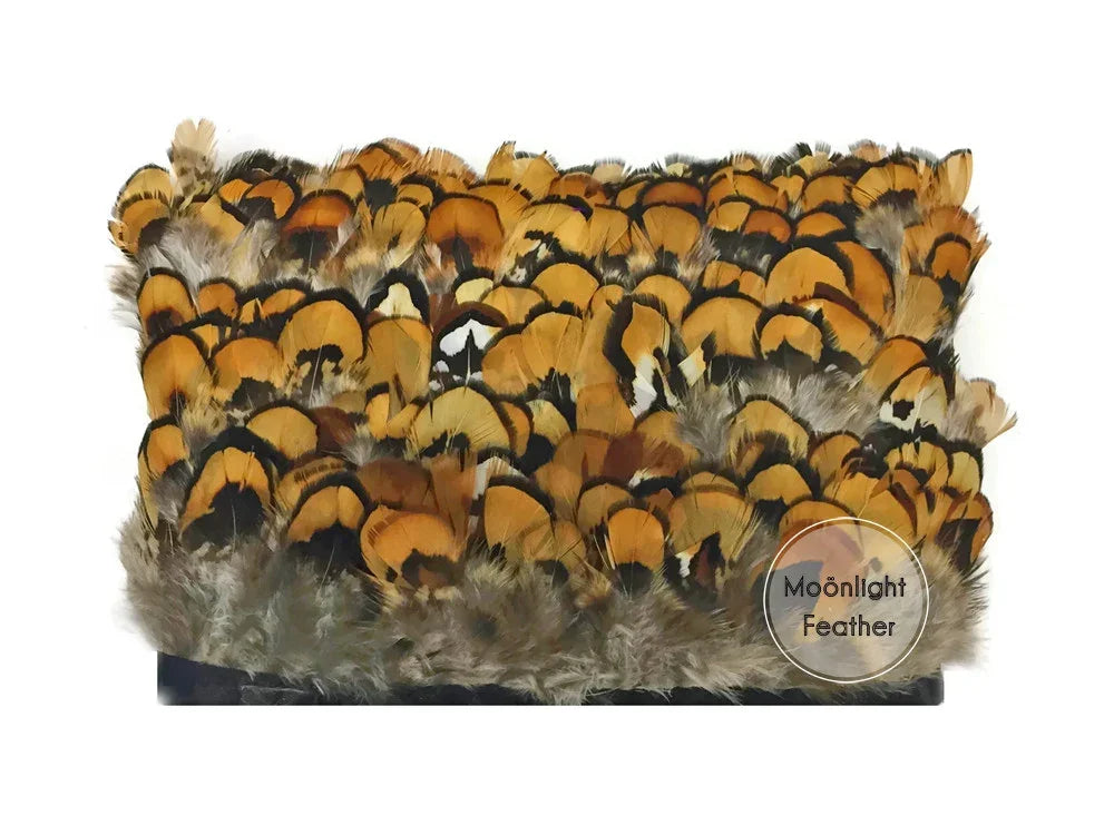 Natural brown and gold patterned feathers for fashion and craft DIY supplies.