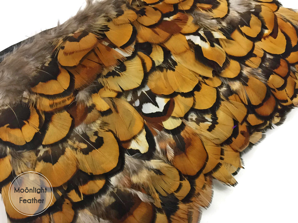 1 Yard - Natural Gold Venery Pheasant Plumage Feather Trim