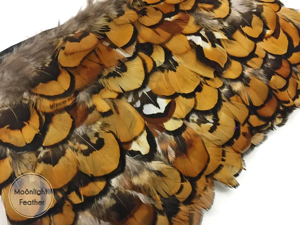 Natural brown and tan patterned feathers for craft and fashion DIY supplies.